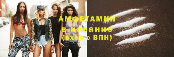индика Осташков